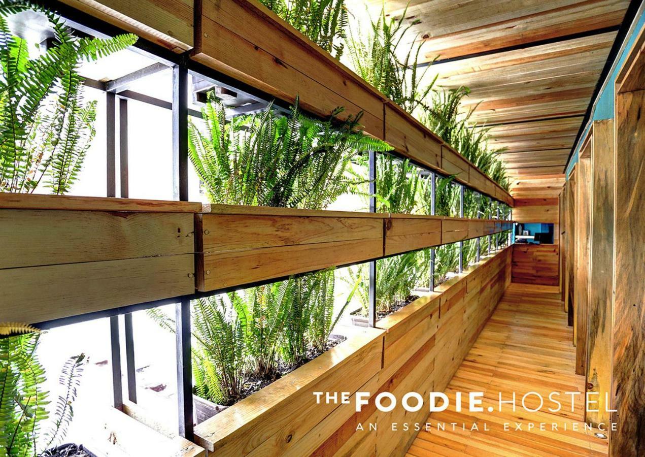 The Foodie Hostel Cidade do México Exterior foto
